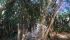 WhatsApp Image 2021-07-14 at 14.07.30 (10).jpeg