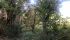 WhatsApp Image 2021-07-14 at 14.07.31 (2).jpeg