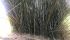 WhatsApp Image 2021-07-14 at 14.07.31.jpeg