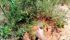 WhatsApp Image 2023-04-03 at 11.54.54.jpeg