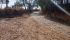 WhatsApp Image 2025-01-14 at 14.51.16 (4).jpeg
