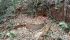 WhatsApp Image 2025-01-14 at 14.51.17 (4).jpeg