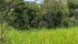 WhatsApp Image 2025-01-22 at 10.28.08 (2).jpeg