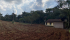 97012b8c-f7f4-4425-a78f-2d1adaa04a7c.jpeg