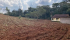 40c7cf13-f595-4d38-bf1e-13e4d9f2cee8.jpeg