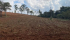 db681474-3c10-4485-a692-d7019897d616.jpeg