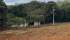 1064d091-fa4a-48d3-a97c-63891e113b63.jpeg