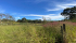 48ac1385-6283-46d3-b81a-fe4c62a9a0e5.jpeg
