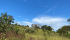 acfea2ab-3858-4355-8043-177b99ddfbd5.jpeg