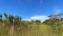 cb972c13-cdae-4edc-af10-d81df46f62b7.jpeg