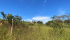 eaf3980a-2f7f-48ab-a6a8-cdeb398e10b6.jpeg