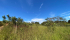 2c21e82a-6a8a-420b-90f5-ee68c2a742ab.jpeg
