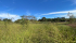 717ed799-3bf9-431f-a80e-66714e9bd3b3.jpeg
