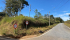 ccf83512-1ede-433d-842b-2a4da342f4ea.jpeg